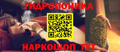 ПСИЛОЦИБИНОВЫЕ ГРИБЫ Пенза